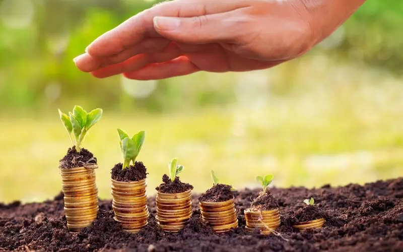 Sobre la economía del bienestar