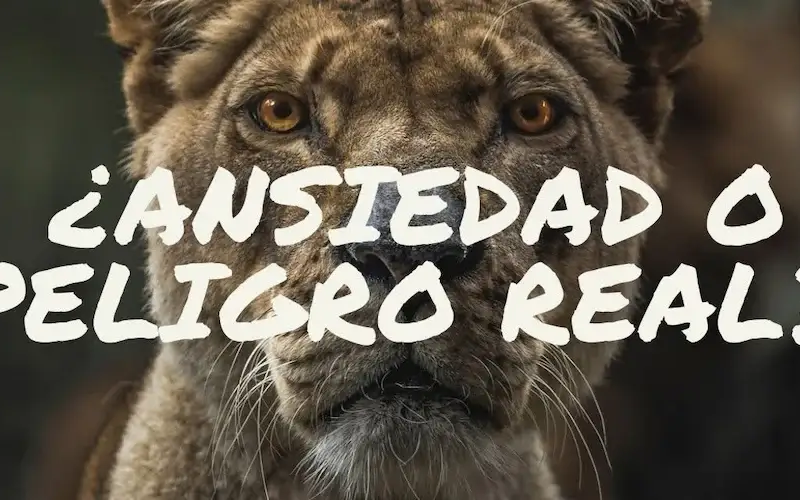 Ansiedad o peligro real