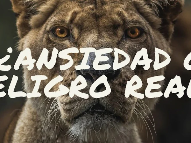 psicólogo para ansiedad